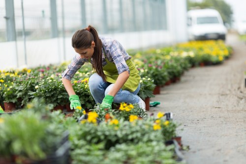 Complaint resolution stage for gardening work