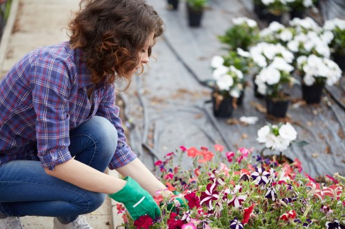 Front garden landscaping to improve kerb appeal in Loxford