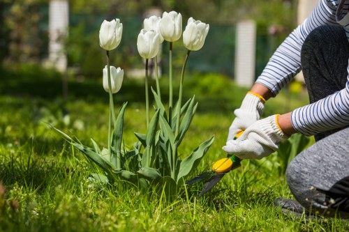 Gardener using safe working practices with tools and protective equipment