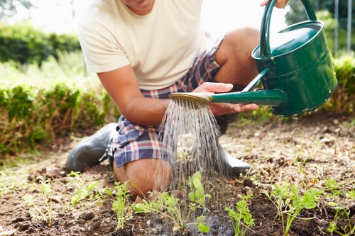 Gardeners Loxford introducing local garden care services