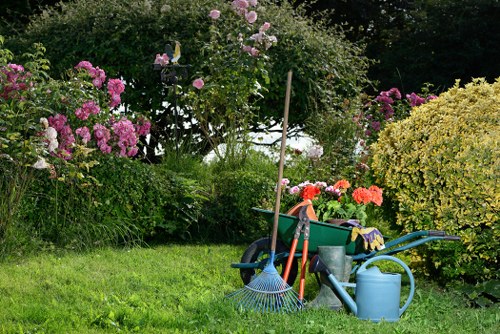 Inclusive online gardening content for the Loxford area