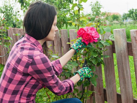 Ongoing supplier responsibility within the Gardeners Loxford supply chain