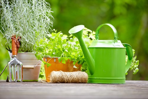 Garden clearance and restoration work for a Loxford property