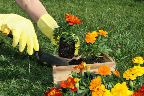 Overgrown garden being cleared in Loxford by a professional team