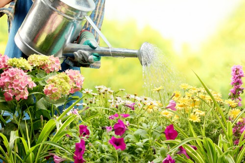 Garden design planning for a Loxford home with lawn and pathways