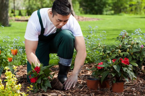Professional lawn mowing service maintaining a garden in Loxford