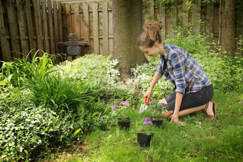 Local garden experts in Loxford improving outdoor spaces with care