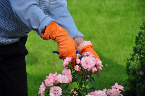 Watering and feeding grass for better lawn care in Loxford
