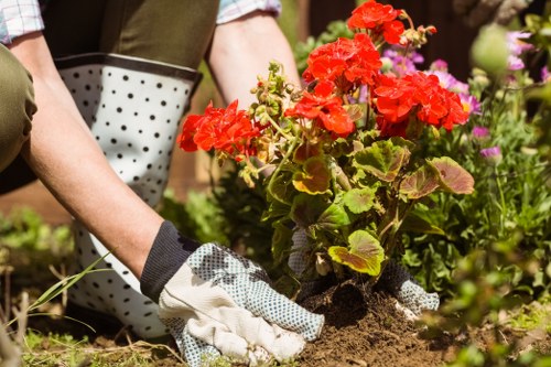 Patio and planting features for landscaping in Loxford
