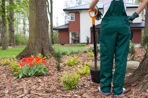 Well-trimmed hedge improving curb appeal in Loxford