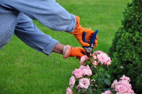 Experienced gardeners shaping hedges and tidy pathways in Loxford