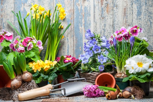 Professional garden waste removal and tidy-up in Loxford