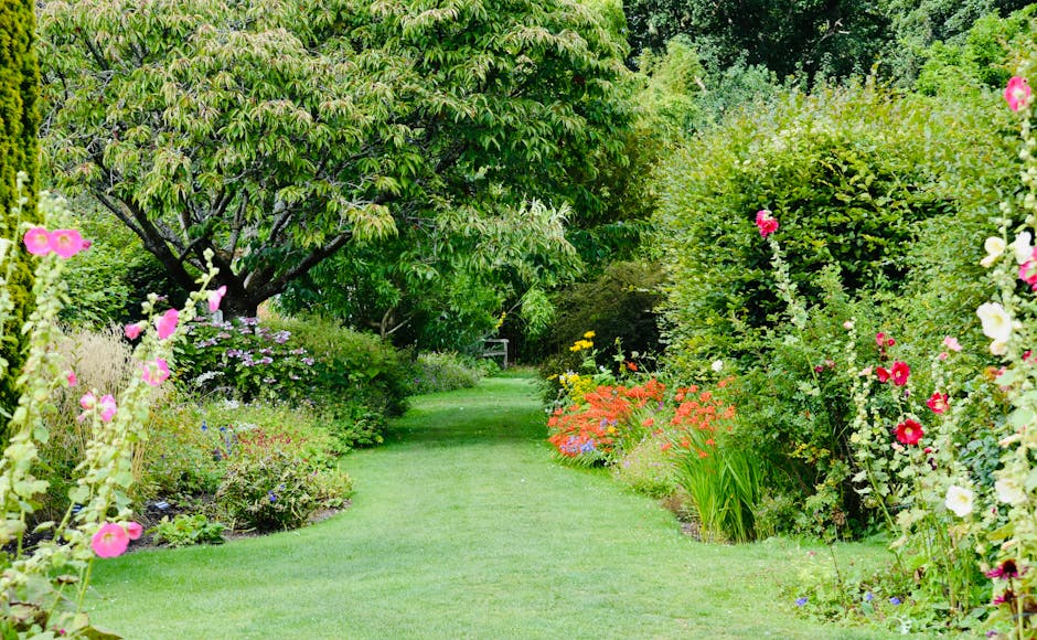 A lush garden scene featuring a well-maintained, narrow grassy pathway bordered by vibrant flower beds and dense green shrubs. On the left side, tall hollyhocks with pink blossoms grow alongside small