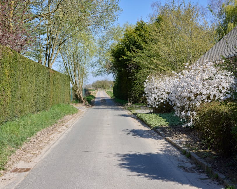 A quiet residential street during daytime with a paved road flanked by well-maintained gardens and hedges. On the left, a tall, neatly trimmed hedge runs alongside the pavement, with some sparse grass