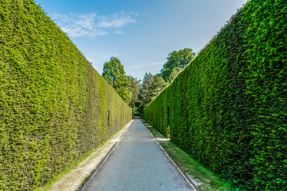 A quiet residential street during daytime with a paved road flanked by well-maintained gardens and hedges. On the left, a tall, neatly trimmed hedge runs alongside the pavement, with some sparse grass