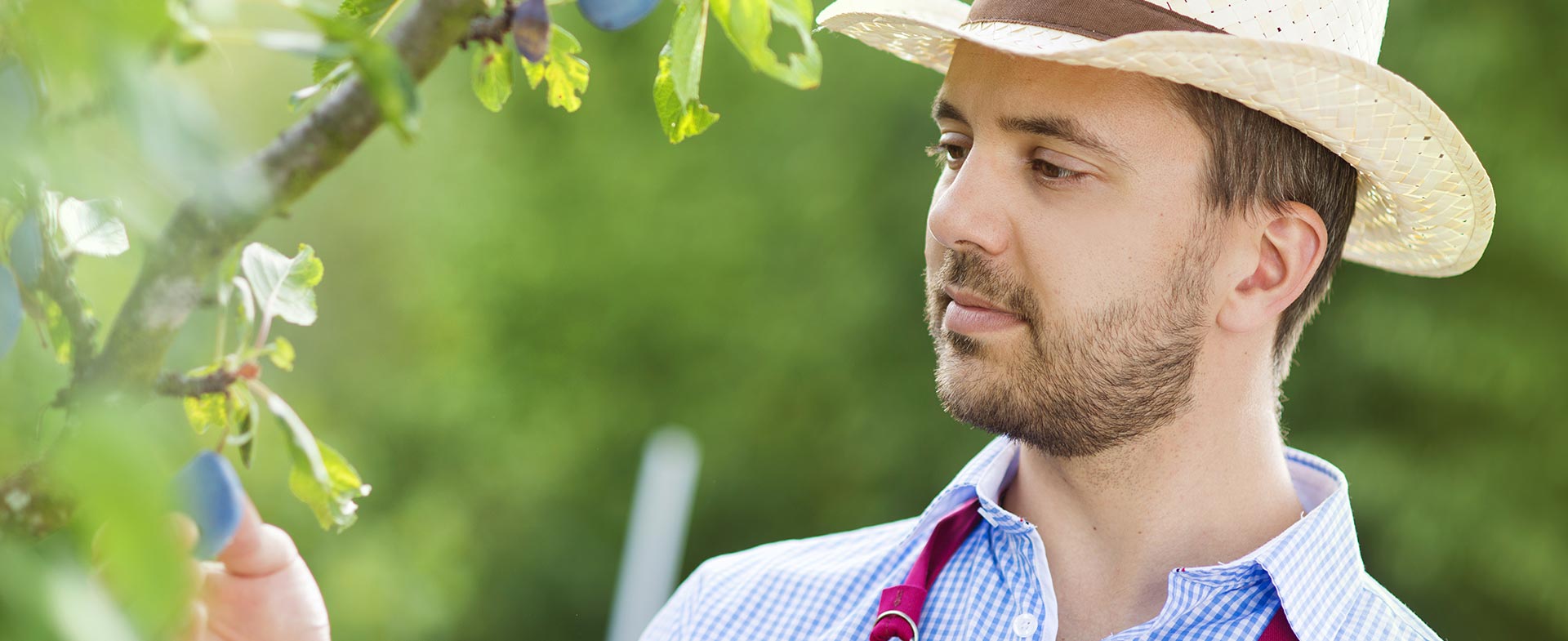 Gardeners Loxford